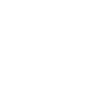 IATA TIDS