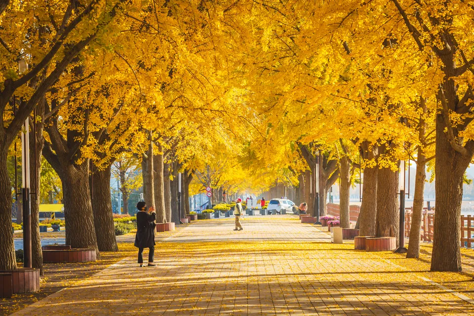 Cheongju, Korea — Explera DMC destination guide