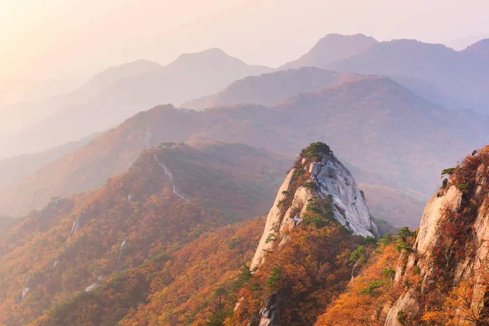 New Year's First Sunrise in Korea: Trips for Groups