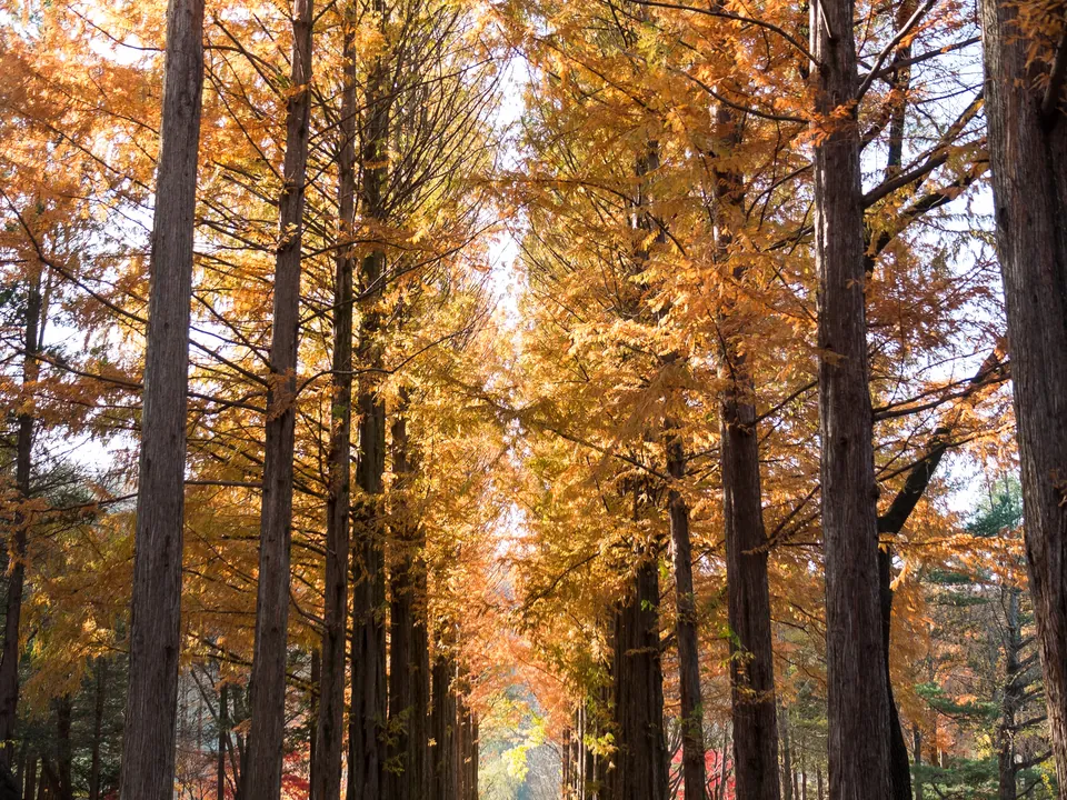 Gapyeong, Korea — Explera DMC destination guide