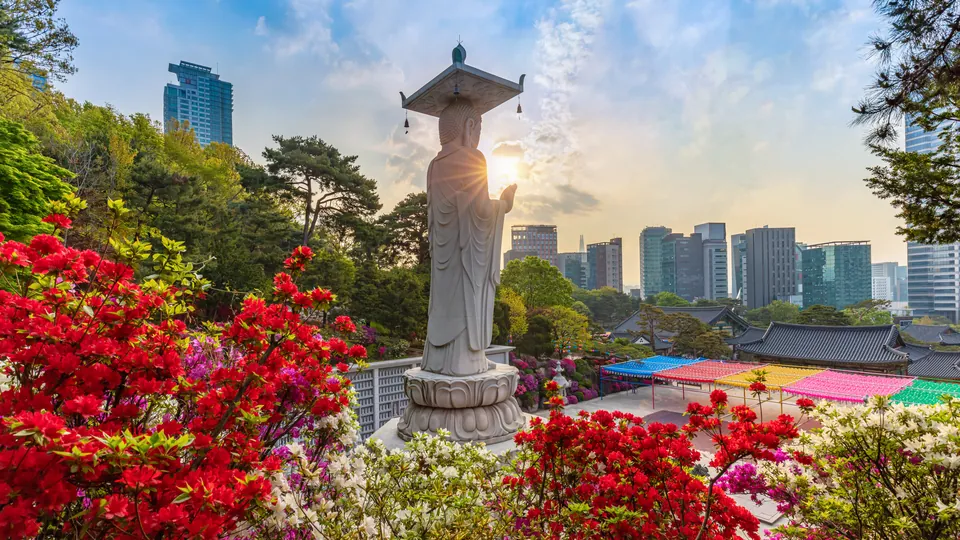 Typhoon Season in Korea: Planning Around Weather Disruption