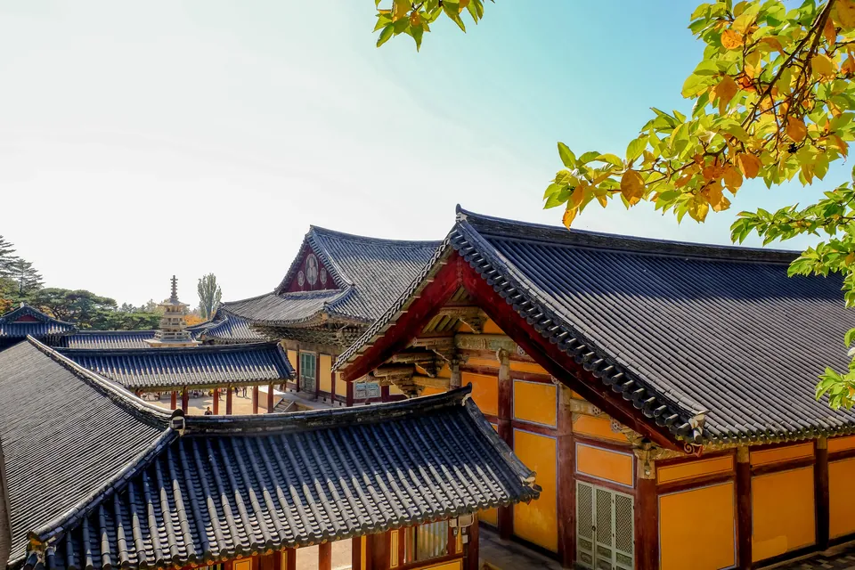 Korea for Repeat Visitors: Group Programmes Beyond Seoul