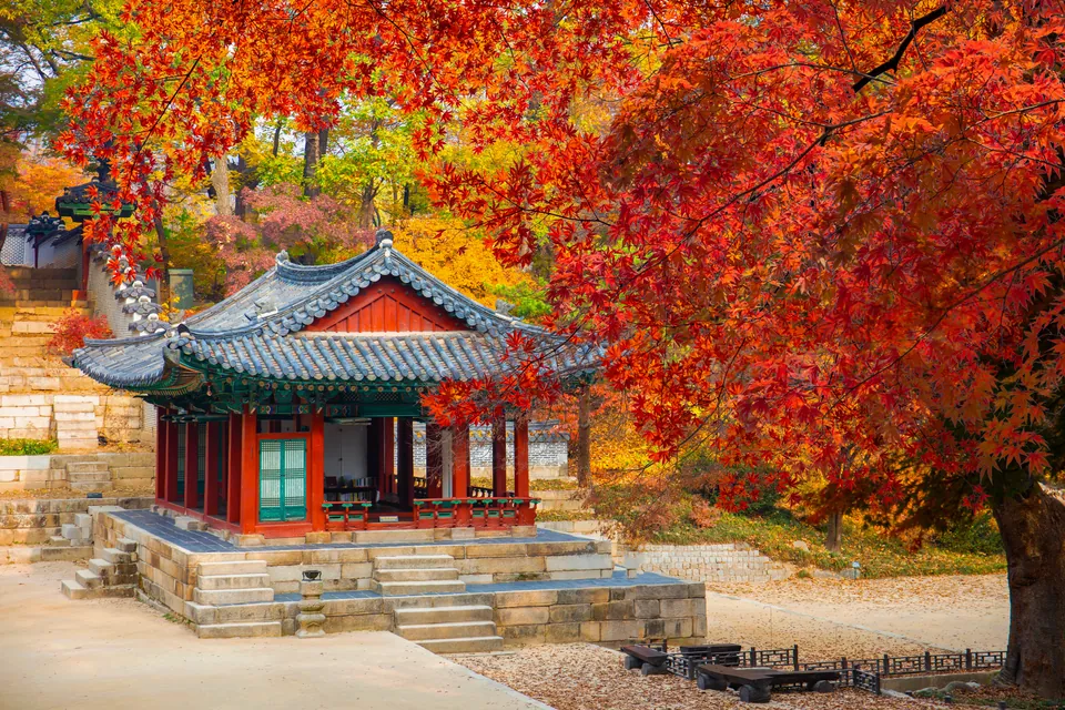 Korea for Groups from the United States and Canada