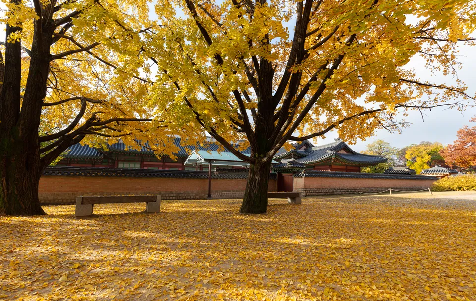 Korea for Groups from India: Visas, Meals and Planning
