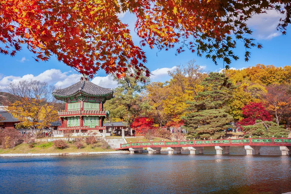 Korea's Autumn Festivals for Groups: Beyond the Foliage