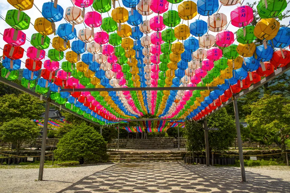 Lotus Lantern Festival in Seoul: A Guide for Groups
