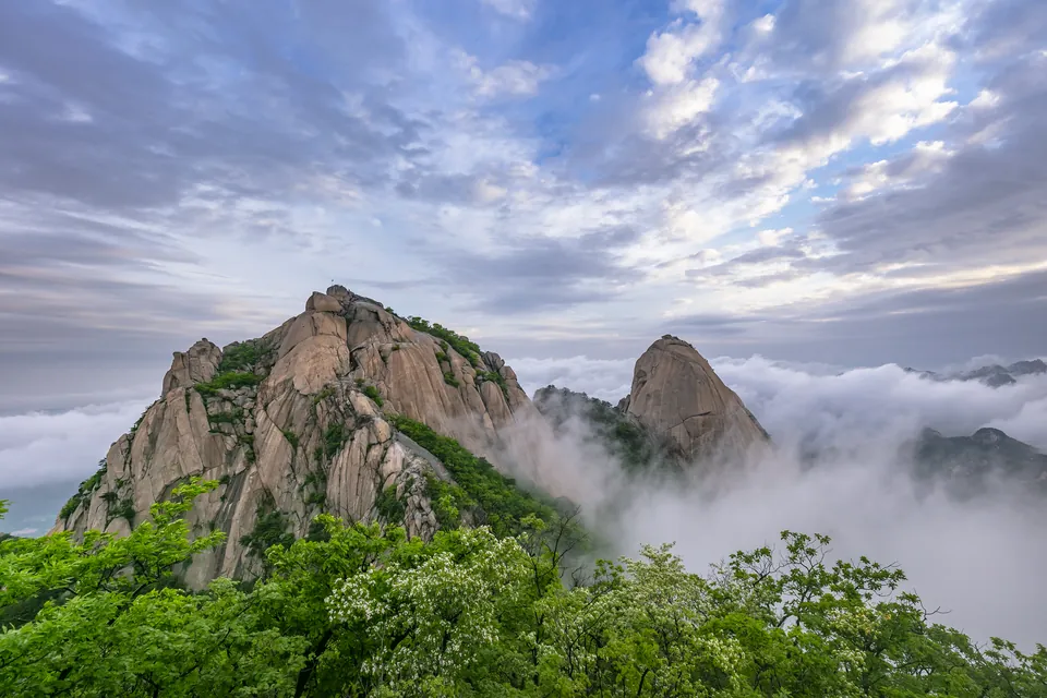 Daegu for Groups: Markets, Mountain Temples and a Base