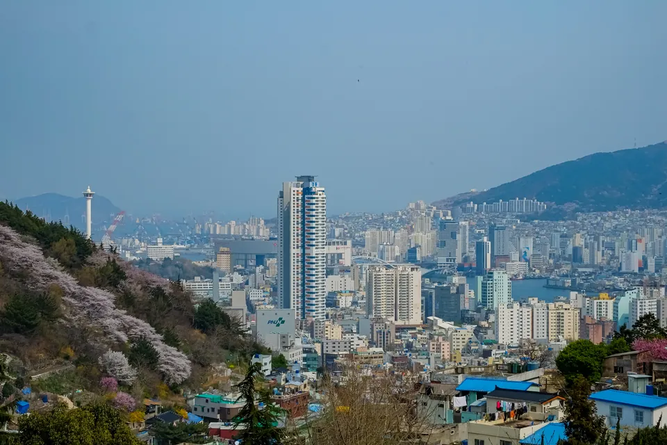 Jinhae Gunhangje Festival — Changwon, 慶尚道